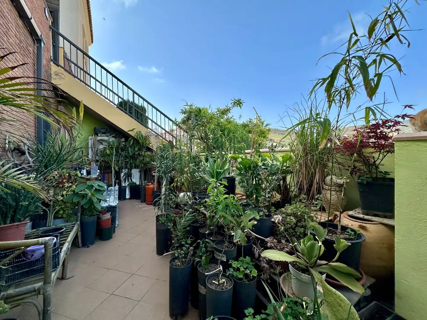 Apartament amb piscina en venda a Citalsol 1, imagen 6