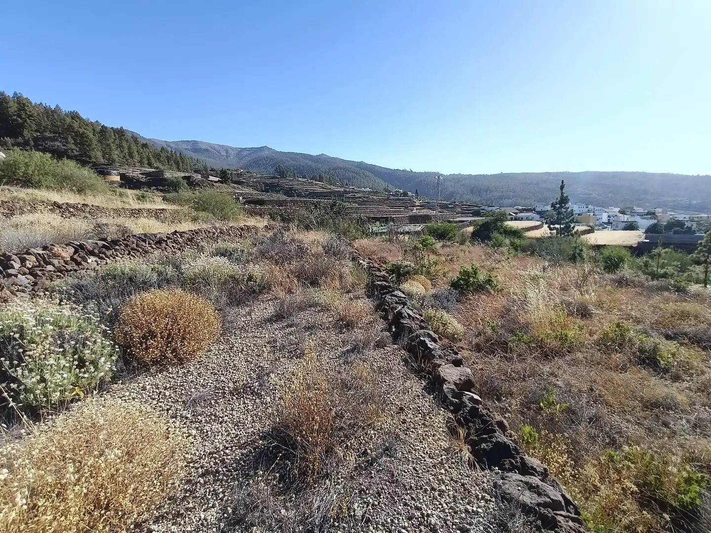 Terreno rústico en venta en M\A LIRIOS. VILAFLOR DE CHASNA [S.C. TENERIFE], imagen 9