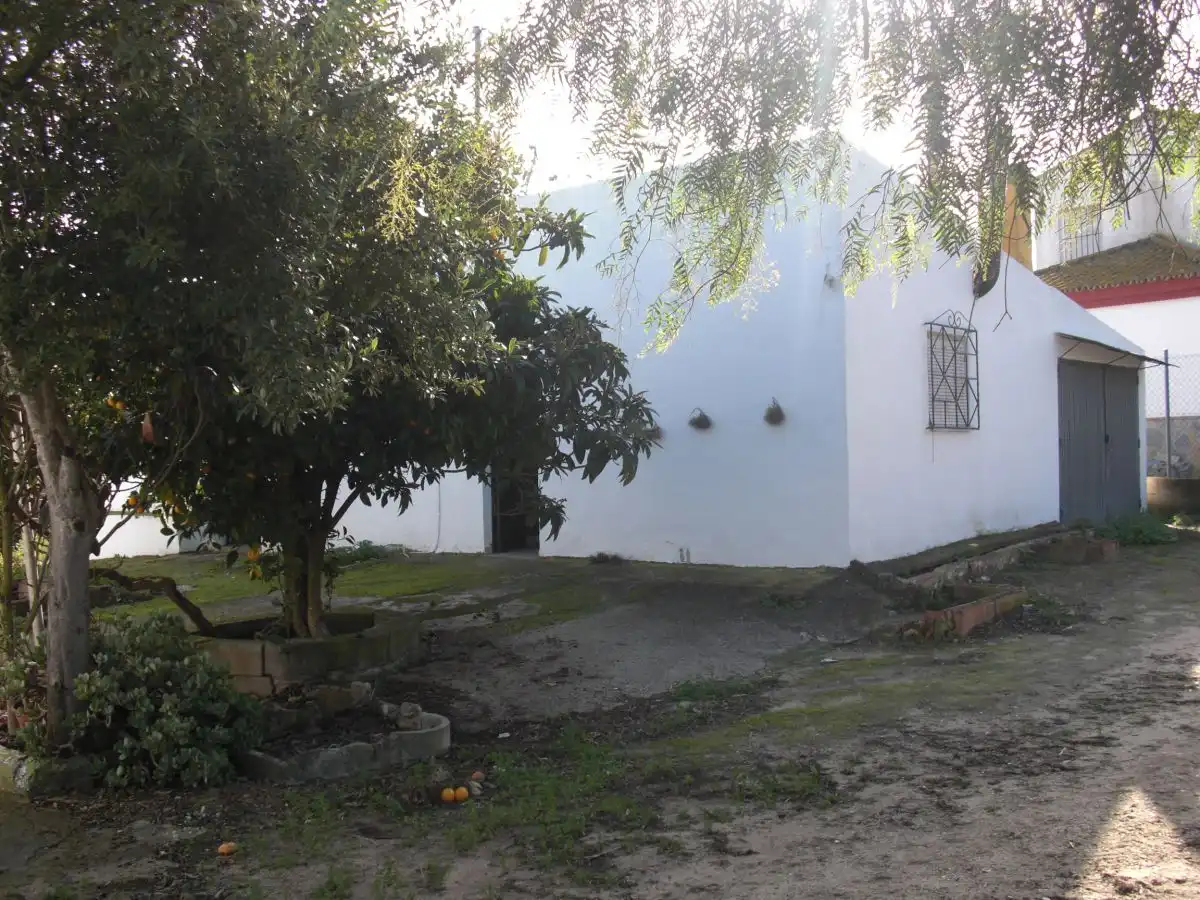 Casa rústica en venda a Barbate ciudad, imagen 13