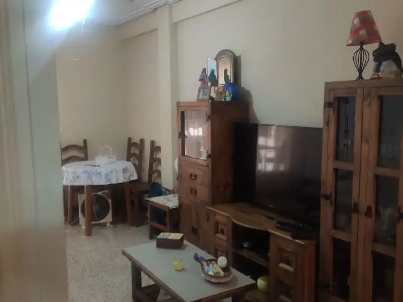 Apartament amb ascensor de lloguer a Vicente Blasco Ibáñez 25, imagen 2