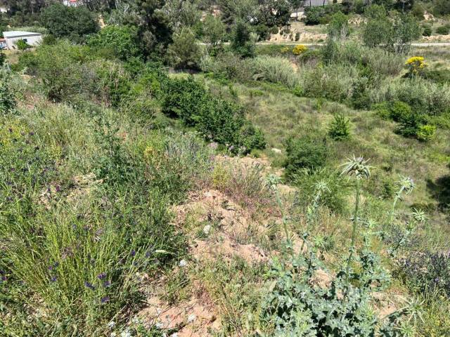 Terreno residencial en Venta en Ca n'Alzamora