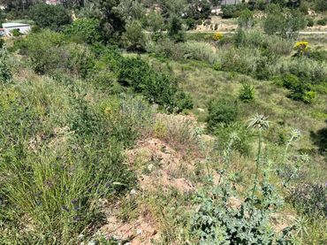 Terreno residenziale in vendita a Ca n'Alzamora