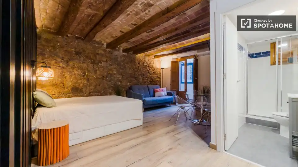 Flat for rent in El Raval