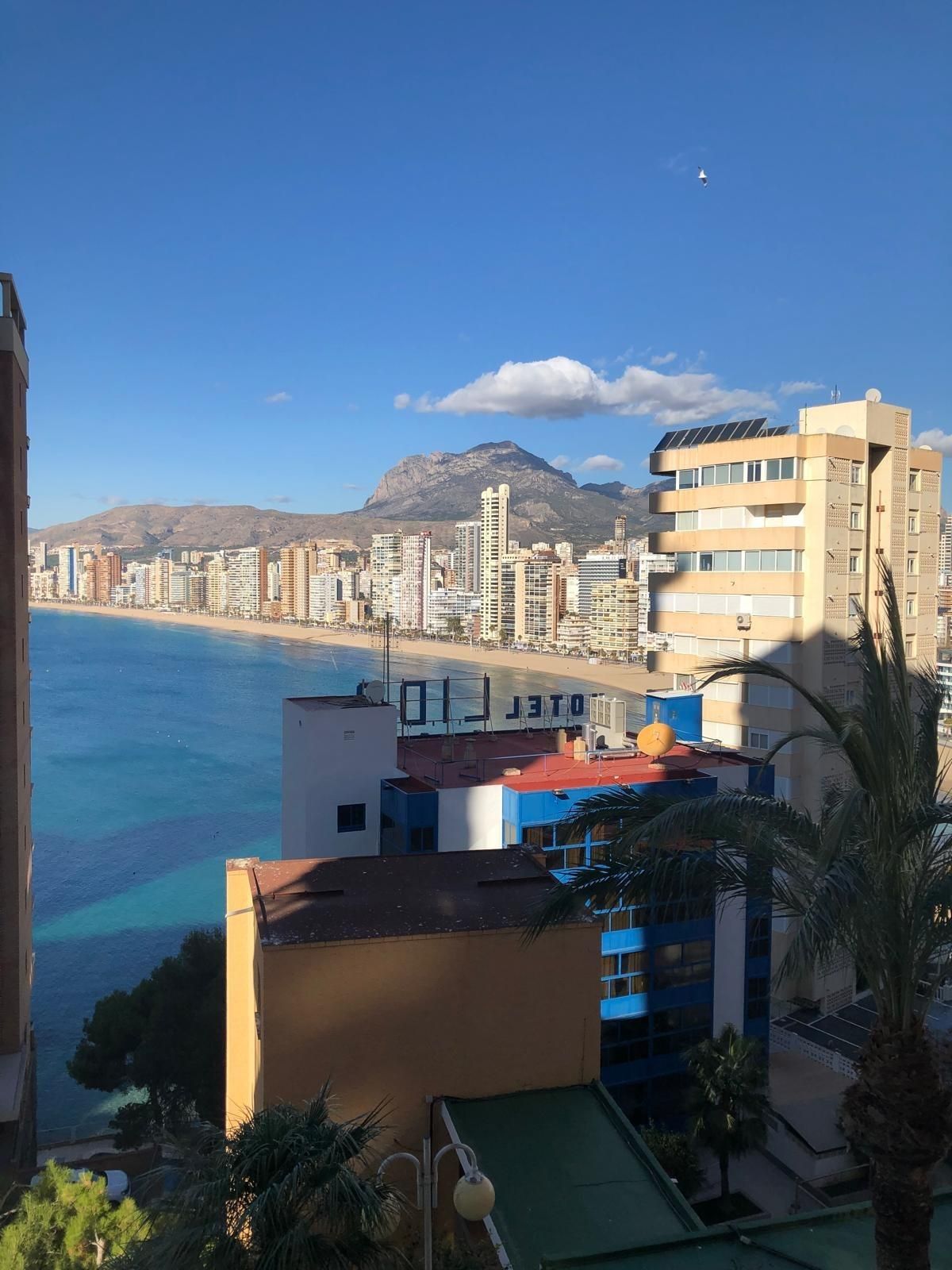 Vista exterior de Apartamento en venta en Benidorm con Aire acondicionado, Calefacción y Jardín privado