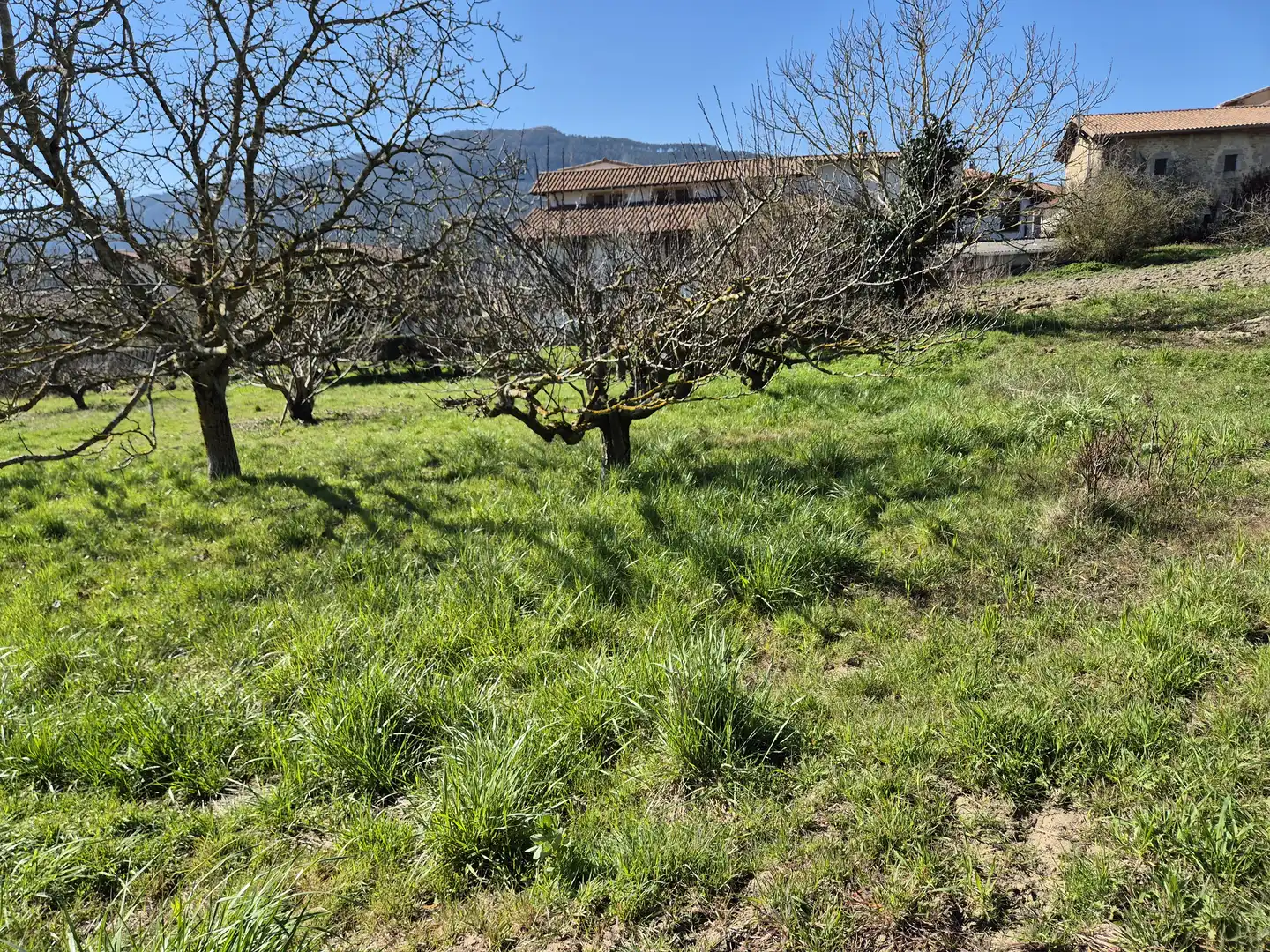 Residential land for sale in Calle San Juan 34, imagen 22