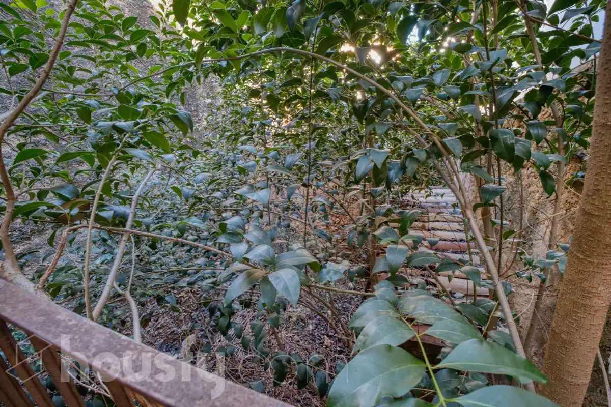 Jardín de Casa o chalet en venta en L'Arboç, Tarragona