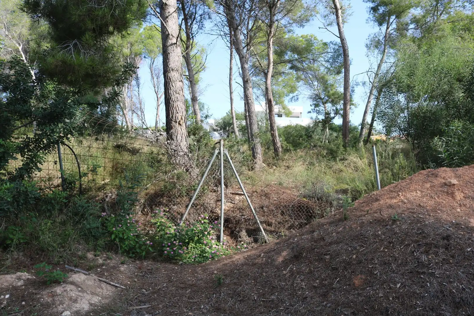 Terreny residencial en venda a Pinar del Advocat - Cometa, imagen 19