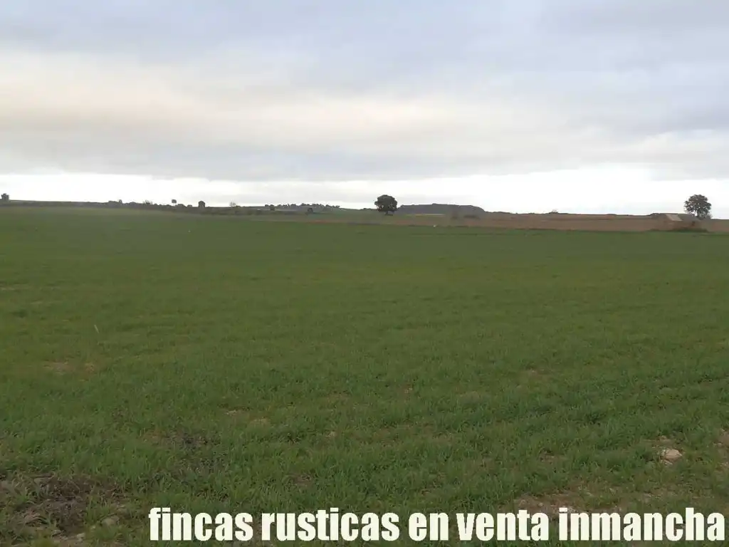 Terreno rústico en venta en Daimiel, imagen 7