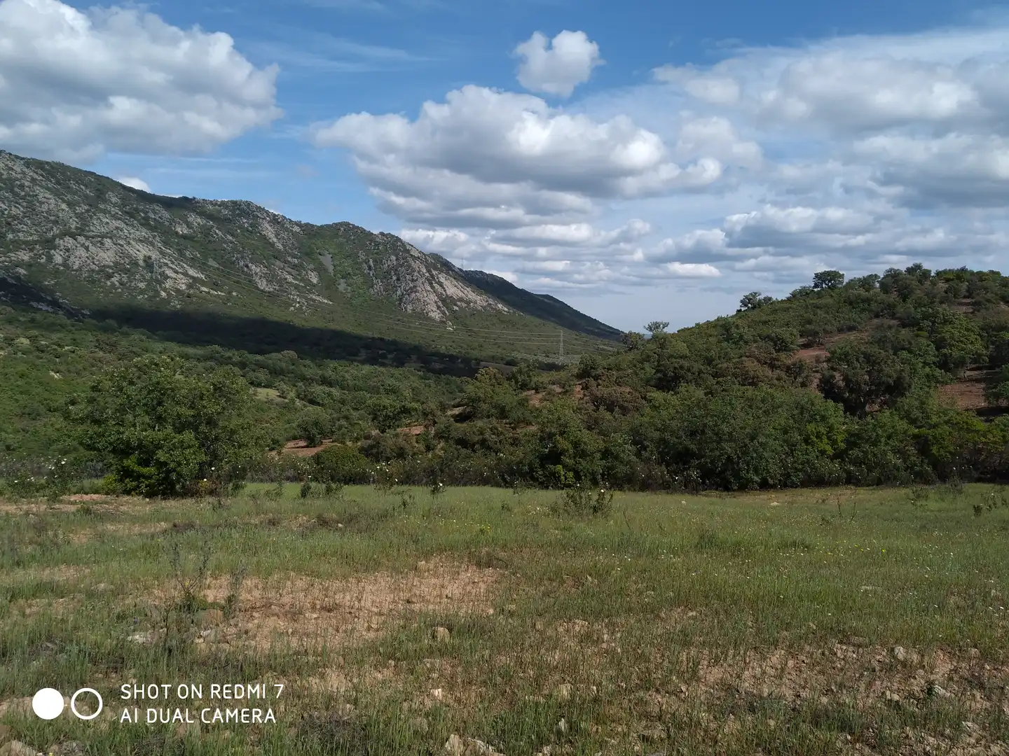 Rural land for sale in Fuencaliente, imagen 3