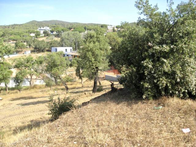 Terreno en Venta en Escarlet en Puig Ses Forques - Torre Colomina