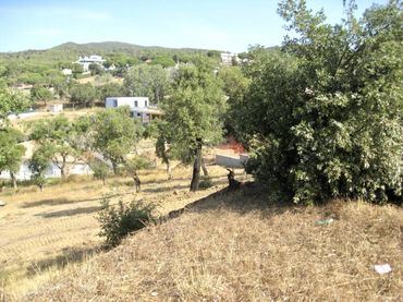 Terrain résidentiel à vendre à Puig Ses Forques - Torre Colomina