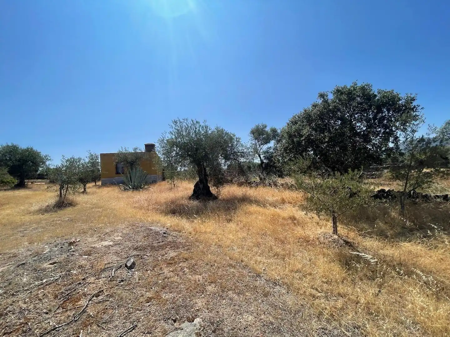 Terreni e lotti in vendita a Valdefuentes, imagen 6