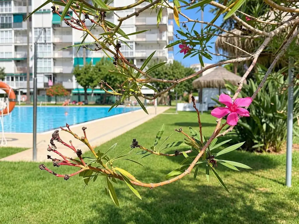 Erdgeschosswohnung mit Pool zum Verkauf in Solymar, imagen 14