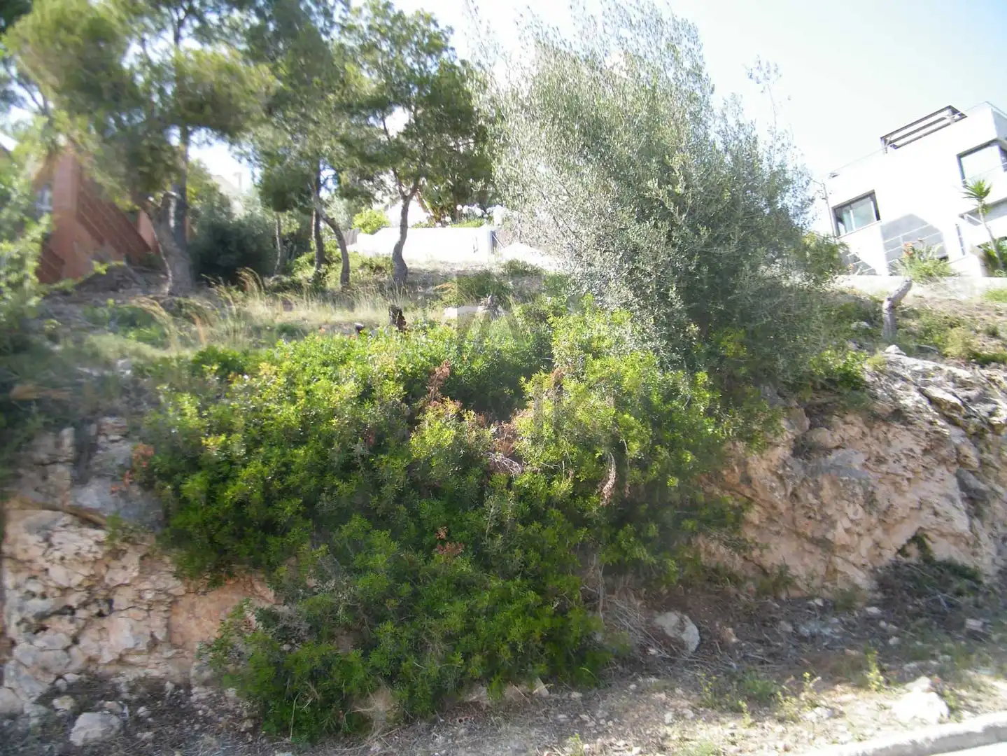 Terrenys i solars en venda a Llevantina - Montgavina - Quintmar, imagen 7
