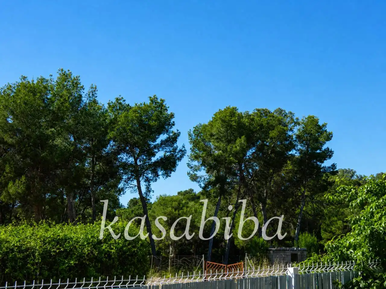 Garden of Houses for sale in Godelleta  with Private garden, Terrace and Swimming Pool