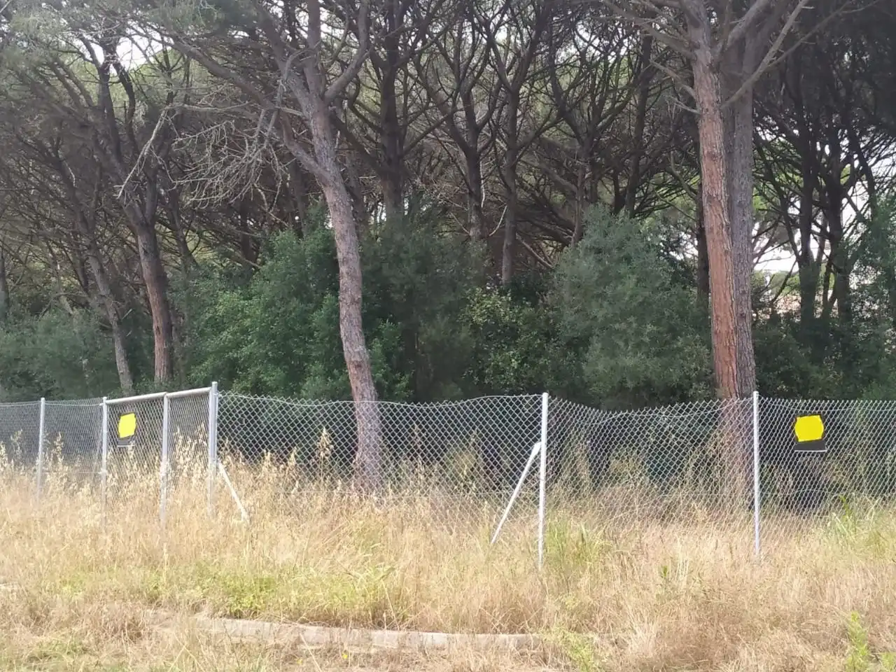 Terreny residencial en venda a Carrer Pinedes, imagen 4