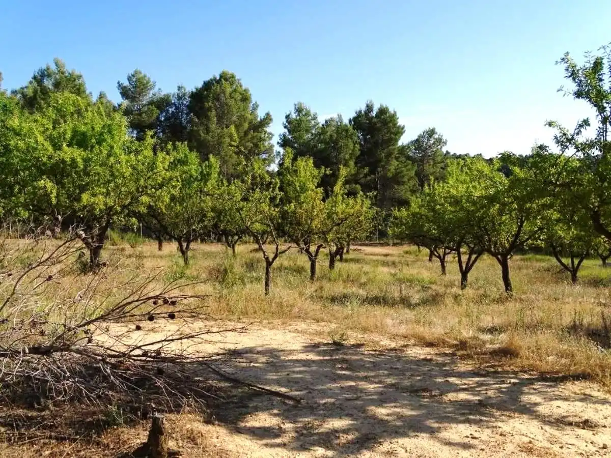 Landhaus zum Verkauf in Horta de Sant Joan, imagen 15