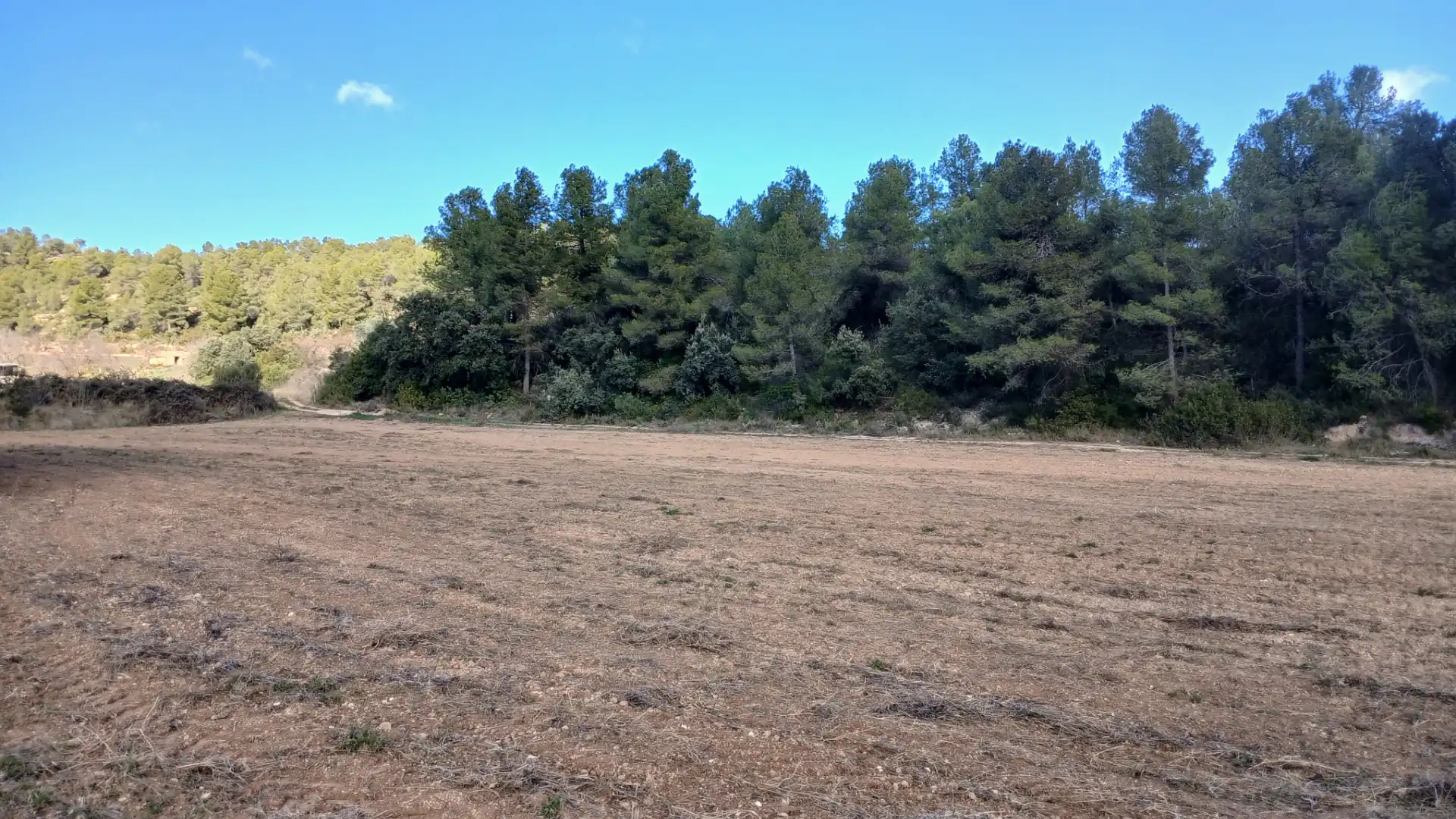Terreni e lotti in vendita a Lledó, imagen 10