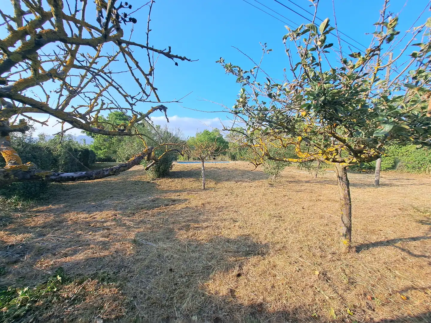 Residential for sale in Anguciana