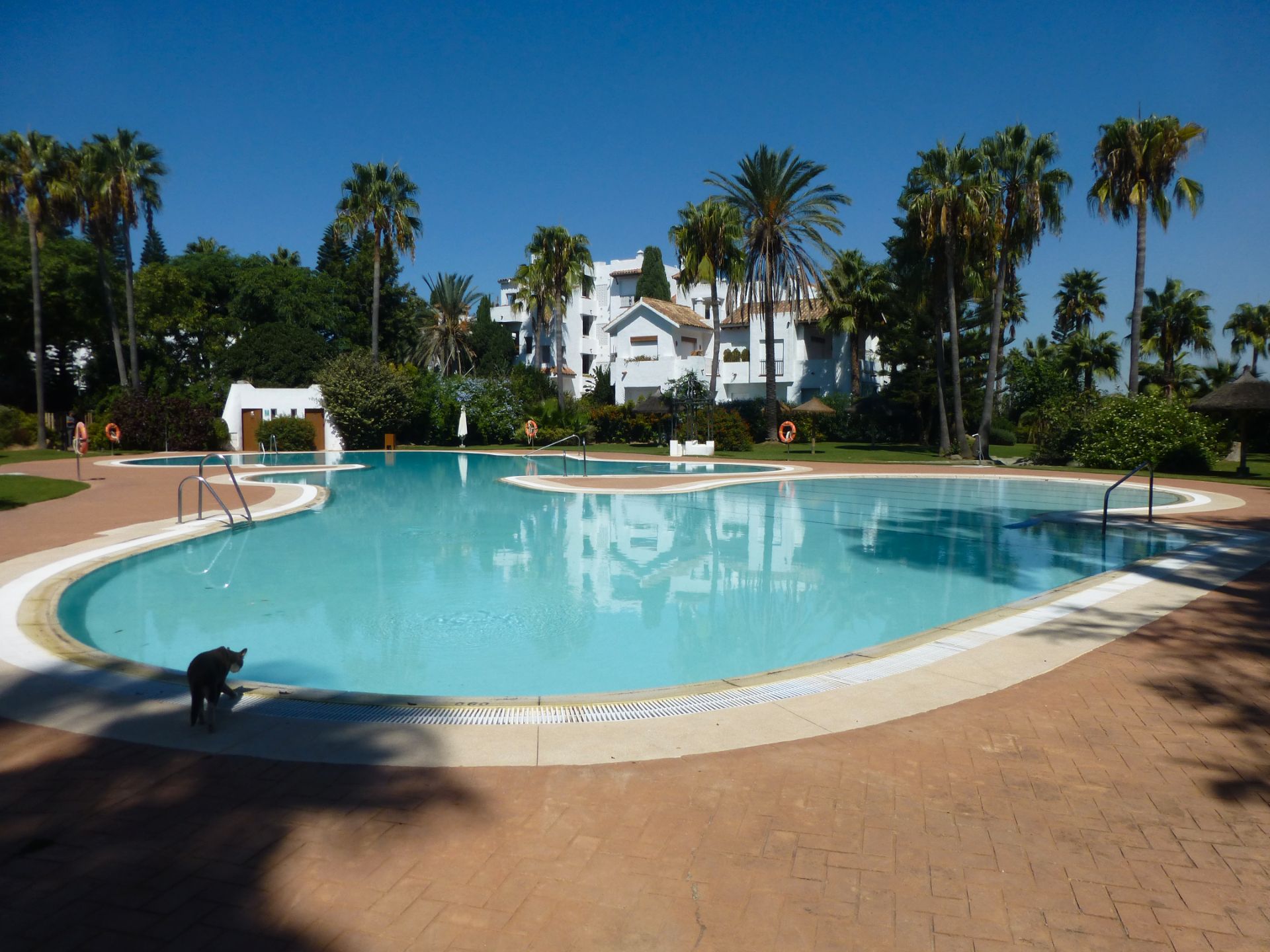 Swimming pool of Planta baja for sale in Rota  with Air Conditioner, Private garden and Terrace