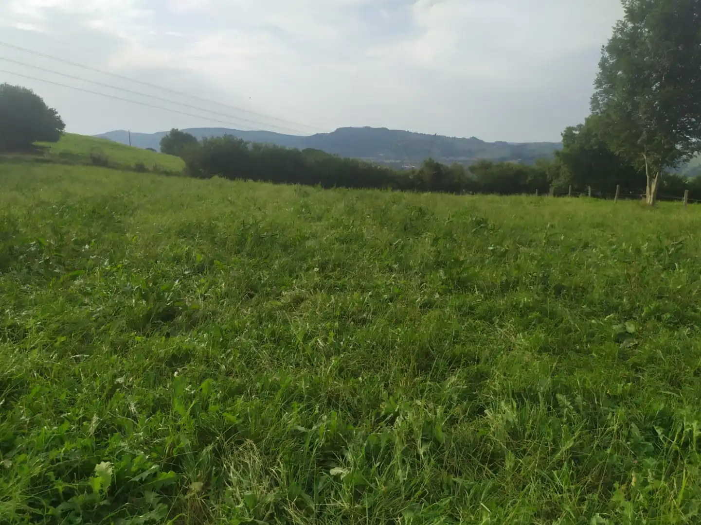 Terreni e lotti in vendita a Lloreda - LLOREDA, imagen 2