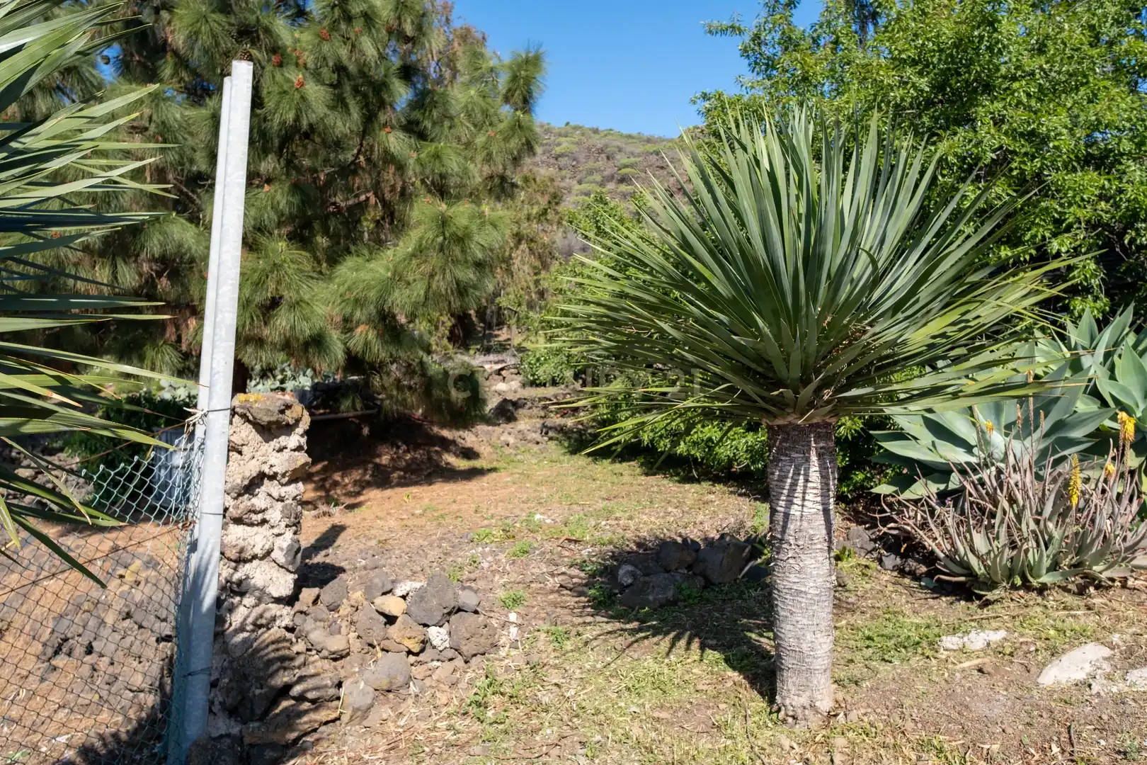 House with terrace for sale in Arafo, Spain, imagen 63