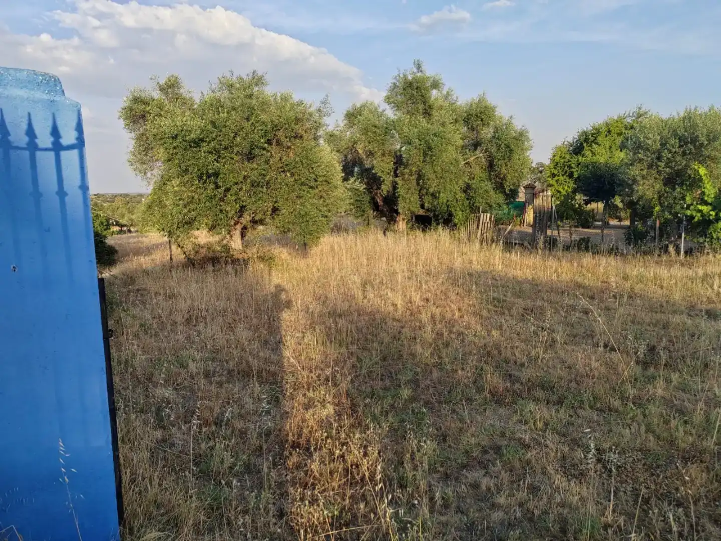 Finca rústica en venda en Arroyo de la Luz amb Jardí privat, Piscina i Moblat