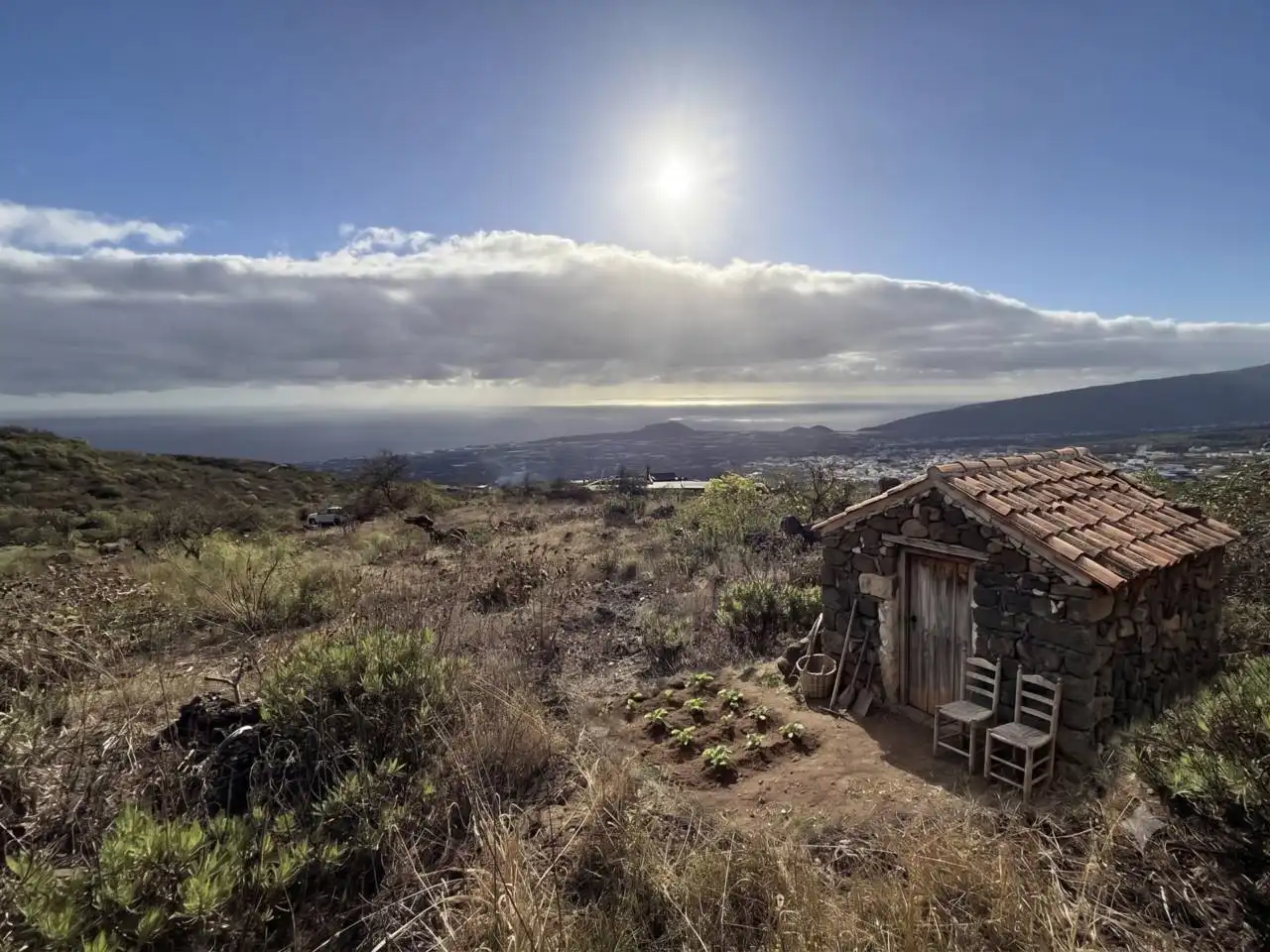 Rural land for sale in Camino Montesinas, imagen 19