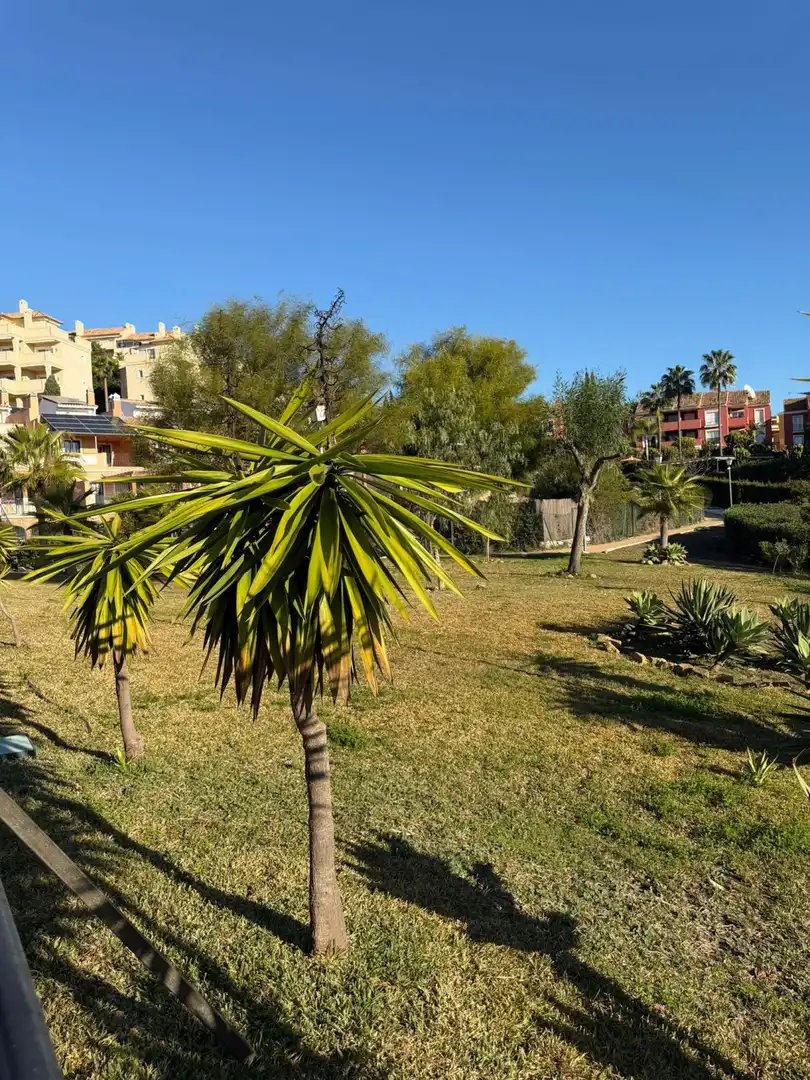 Jardí de Casa adosada en venda en Mijas amb Calefacció, Jardí privat i Terrassa