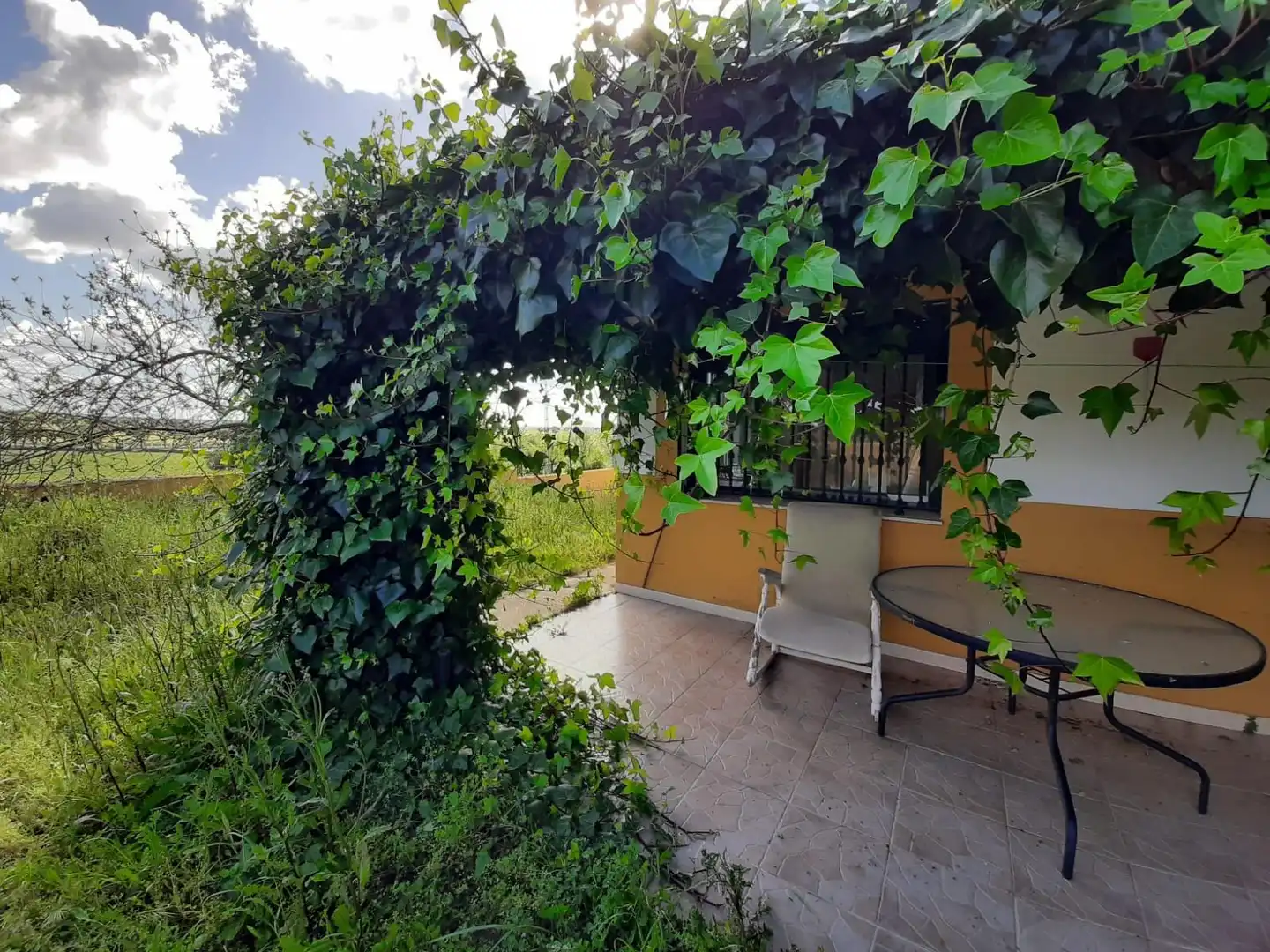 Garden of Houses for sale in Ceclavín  with Air Conditioner, Heating and Private garden