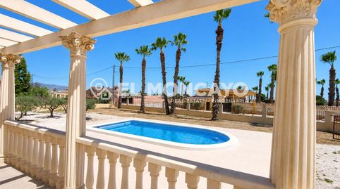 Fantástica parcela rústica con dos viviendas independientes y piscina privada en Catral, Alicante, Costa Blanca, imagen 2