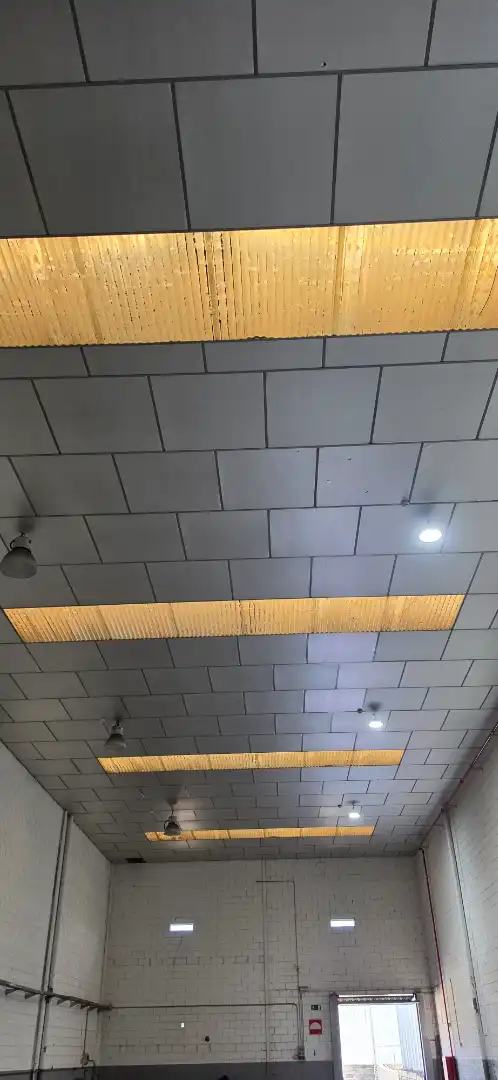 Nave industrial in affitto a Carrer de Guifre el Pilós 2G, imagen 15