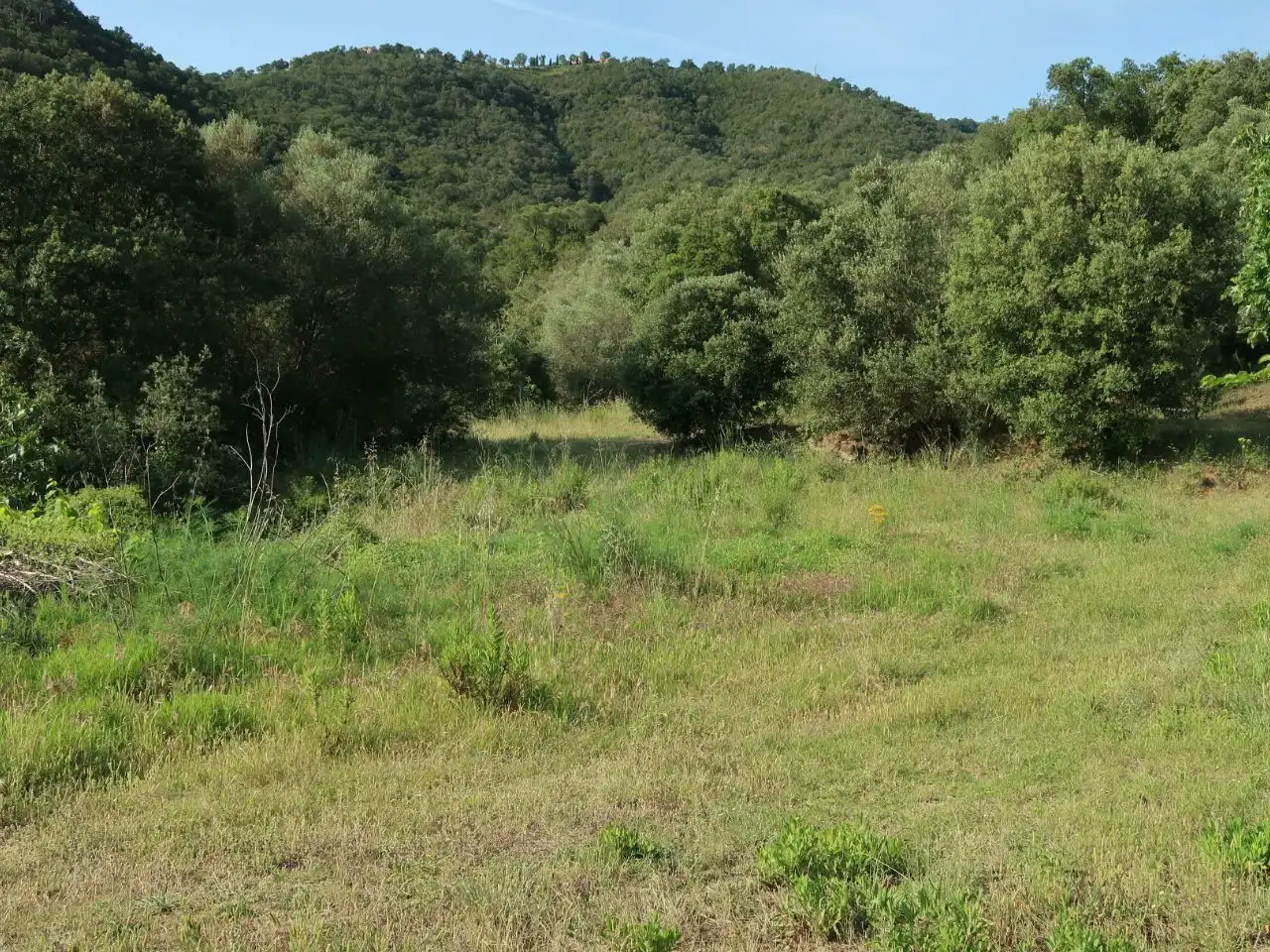 Terreny rústic en venda a GIV-6612 6, imagen 3