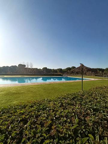 Piso en Alquiler en Calle VIRGEN DE ICIAR en Zona Carretera del Plantío