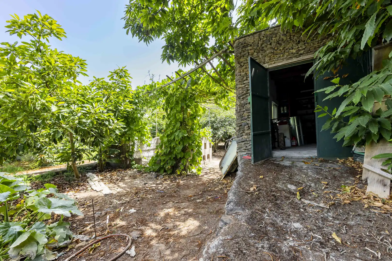Rural land for sale in Tegueste, imagen 22