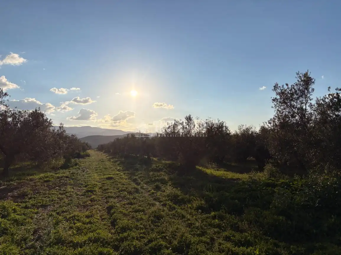 Rural land for sale in Dúrcal, imagen 12