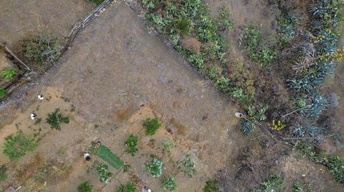 Foto 5 de Terreno en venta en Calle Garabato, Caserones - La Higuera, Telde