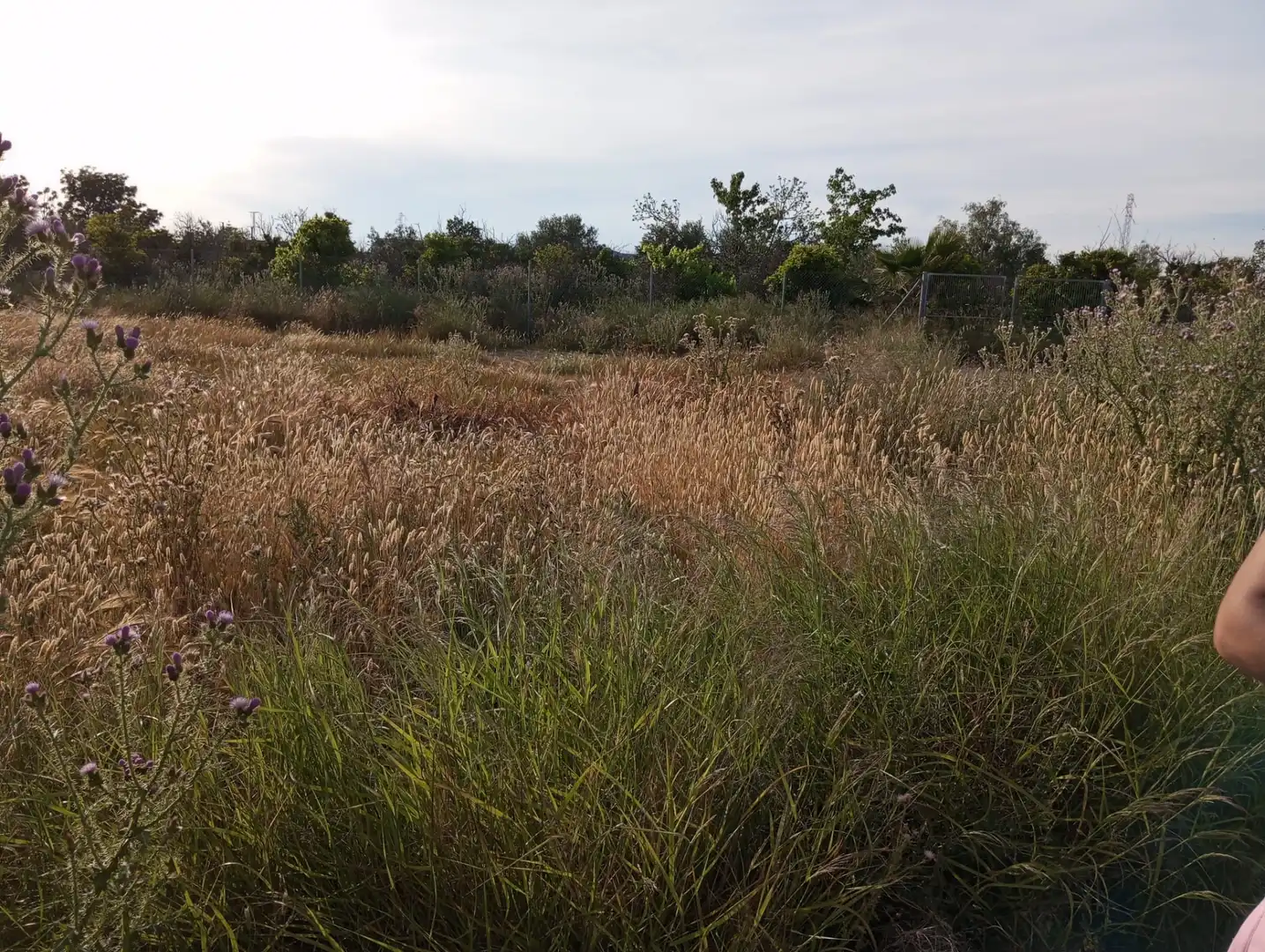Terreno en venta en Murcia