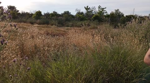 Photo 3 of Land for sale in Sangonera la Seca, Murcia Capital