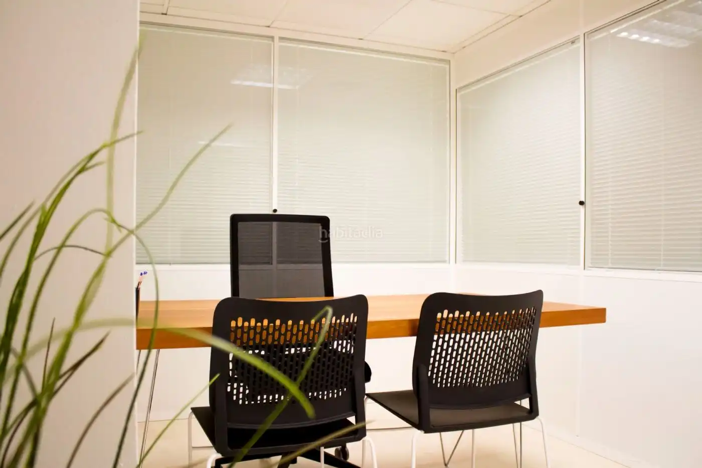 Office space with lift to rent in Carrer de Guillem de Castro 9, imagen 11