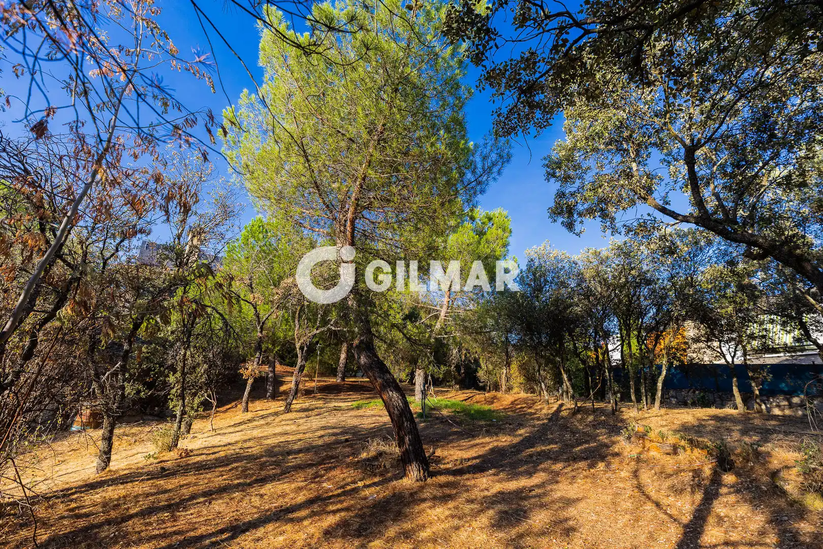 Terreny residencial en venda a Los Ángeles - Jarandilla, imagen 6