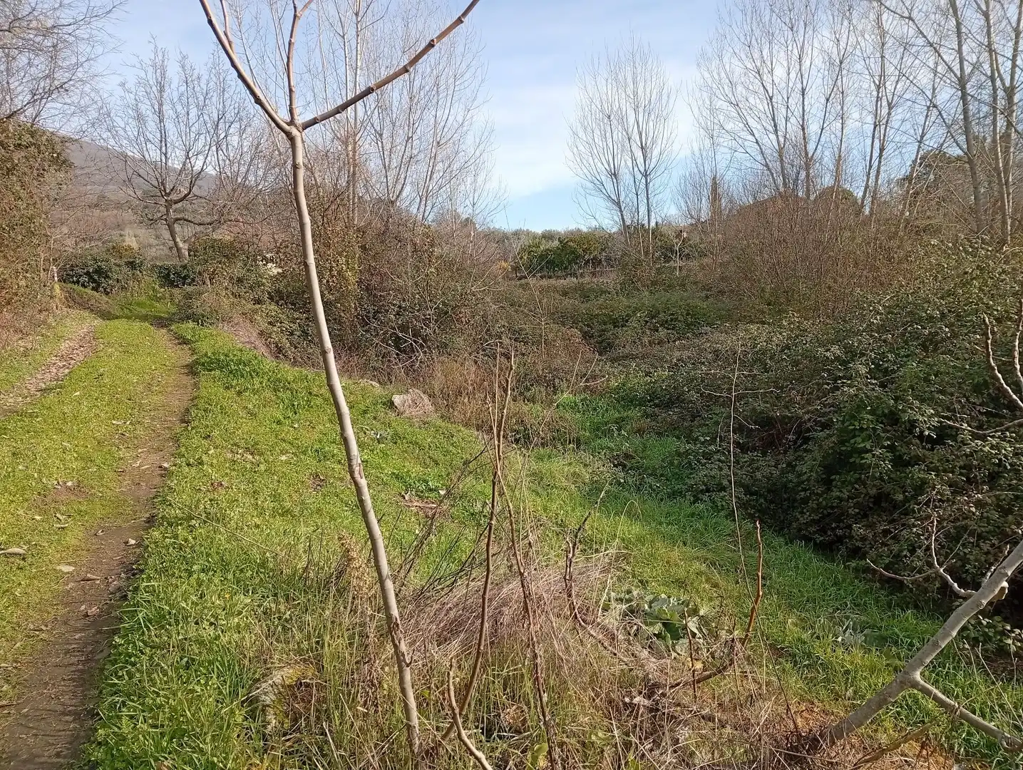 Terreni e lotti in vendita a Valverde de la Vera, imagen 6