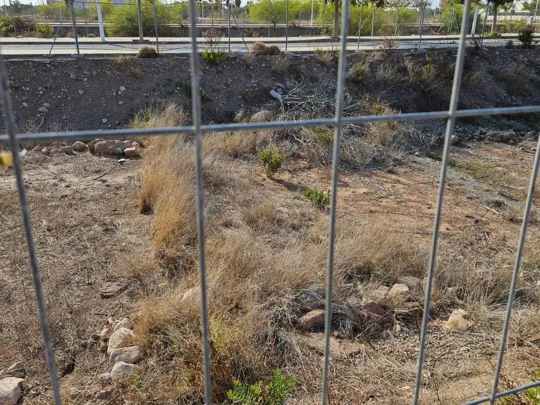 Terreny residencial en venda a Metge José Borrajo 2, imagen 17