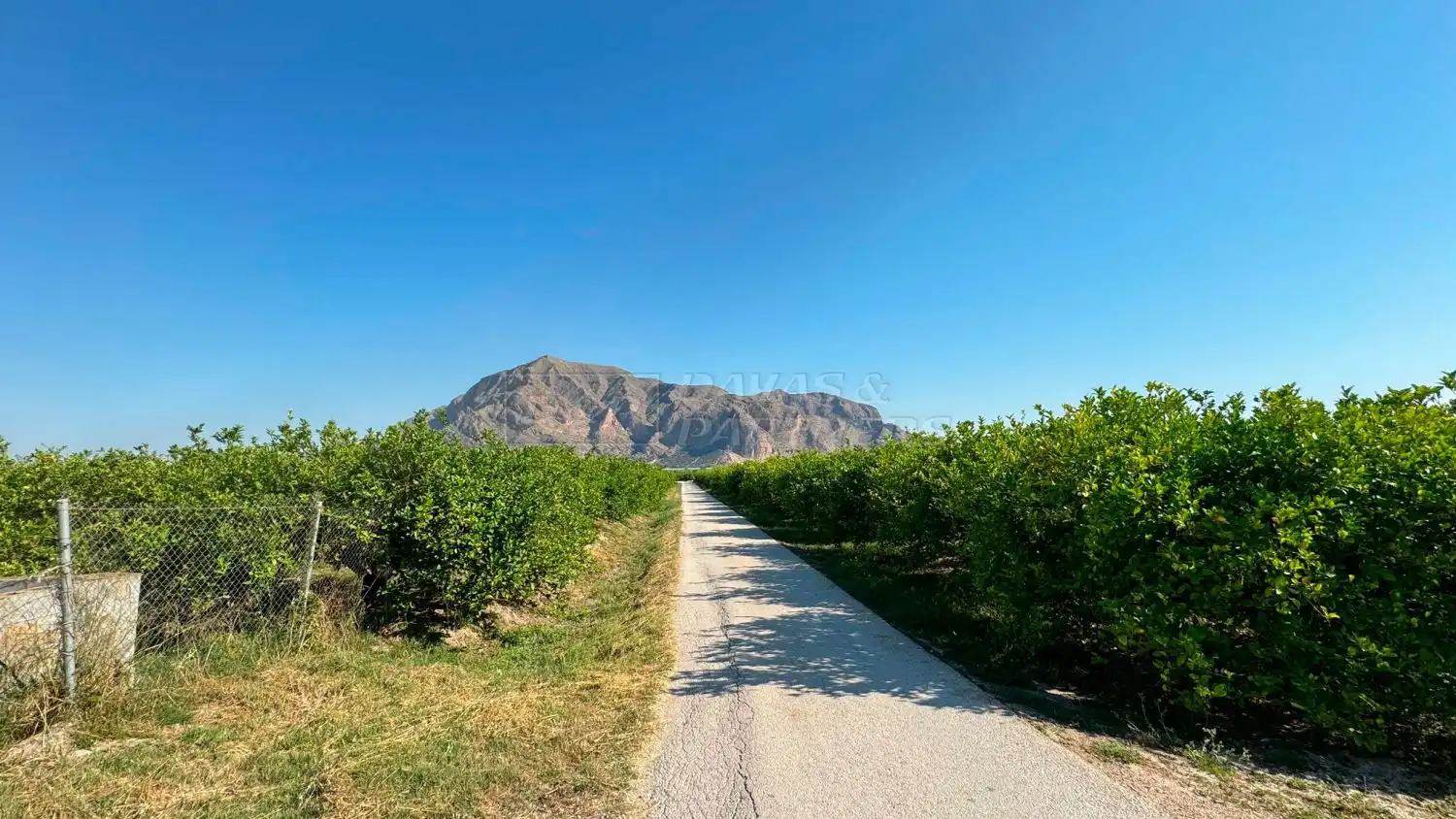 Vista exterior de Finca rústica en venda en Redován