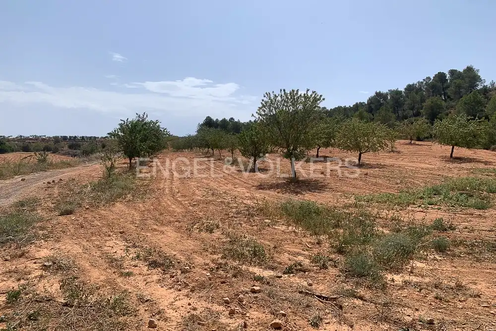Lands and plots for sale in Requena, imagen 32