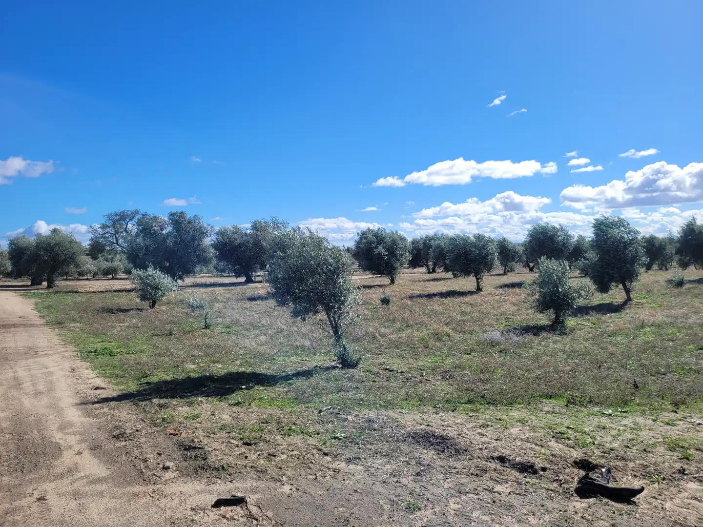 Rural land for sale in Santo Domingo-Caudilla, imagen 5