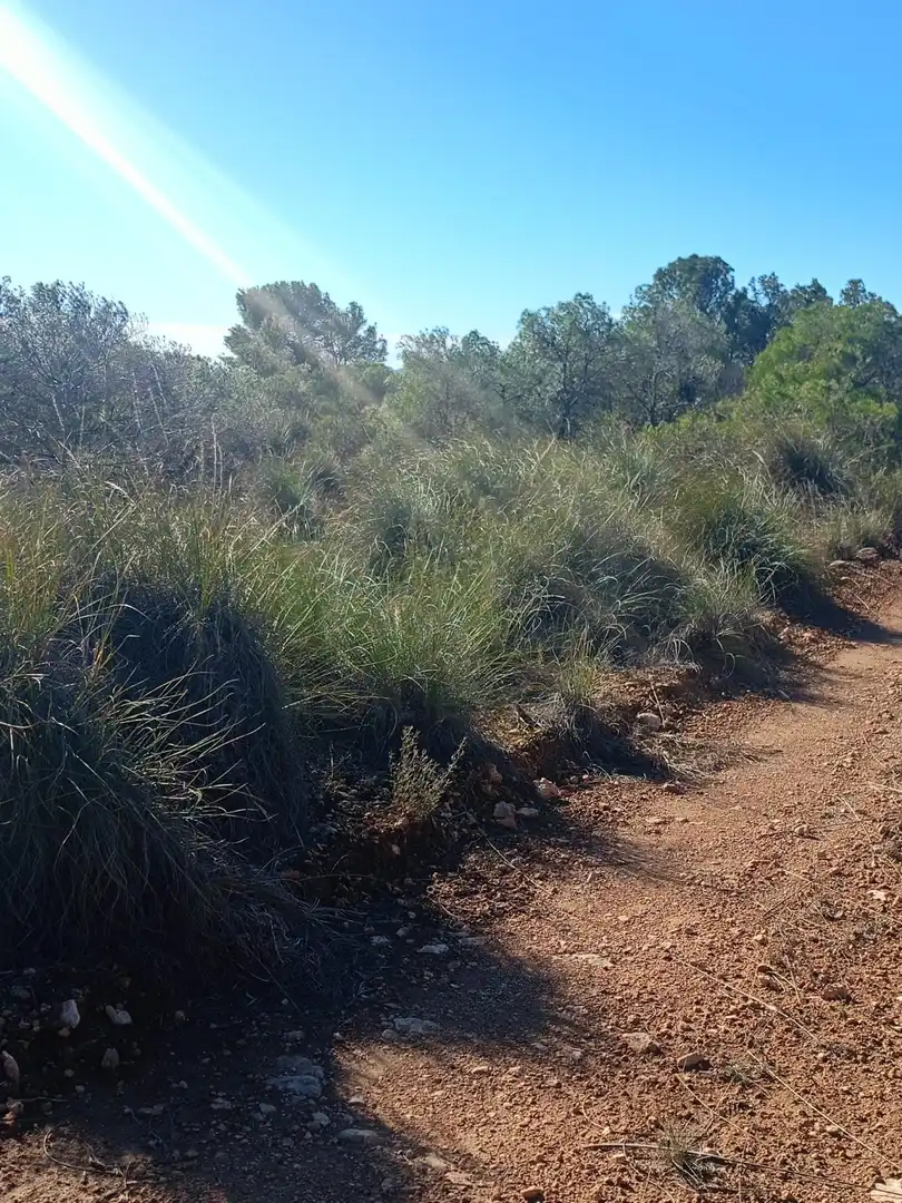 Grundstücke zum Verkauf in Lorca