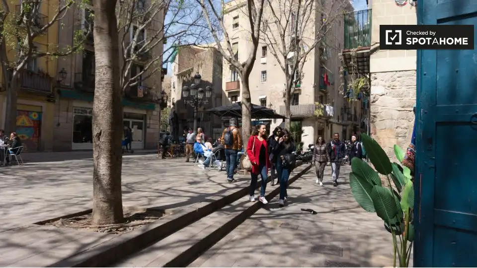Appartamento con terrazza in affitto a Ciutat Vella, imagen 15