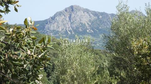Foto 4 de Terreny industrial en venda a La Pasadilla, 1, Gaucín, Málaga