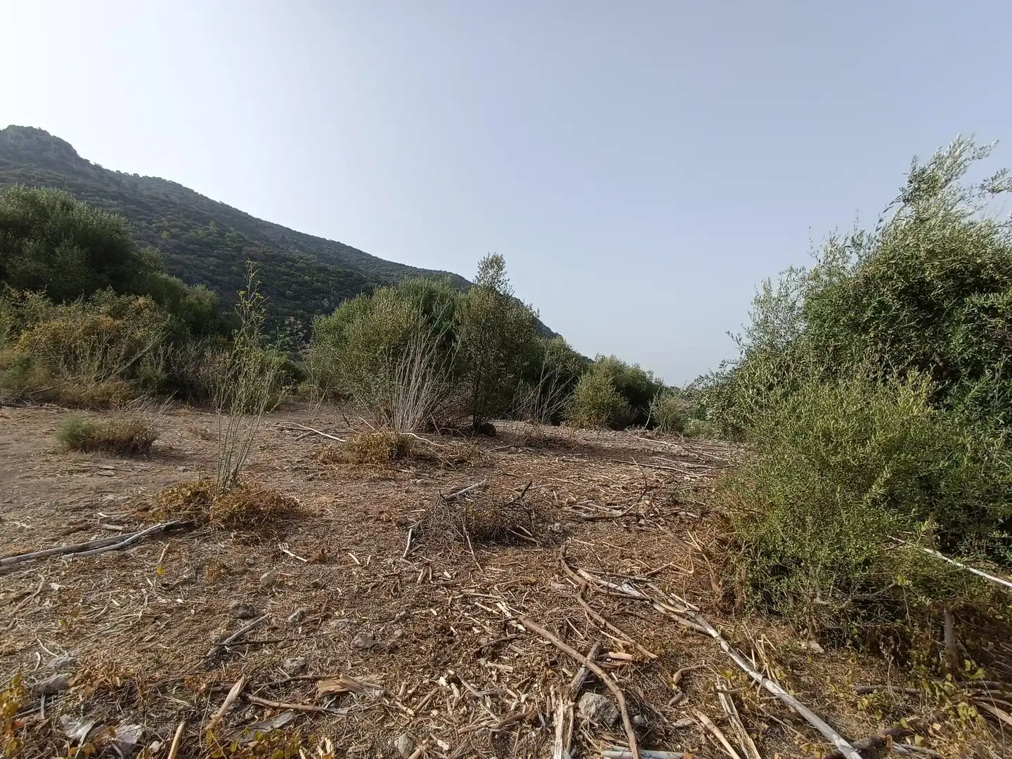 Terreno residenziale in vendita a El Bosque, imagen 4